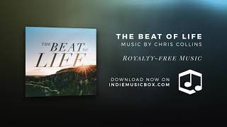 The Beat of Life (528 Hz) - Royalty-Free Ambient / Meditative Music by Chris Collins
