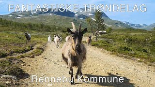 Fantastiske Trøndelag - Rennebu kommune