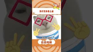 真心换真心（博主：奶瓶??  ）#狗狗  #狗子成精了  #中华田园犬#shorts