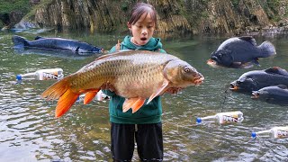 The Lost Girl: Catching Giant Fish with Plastic Bottles - Unbelievable