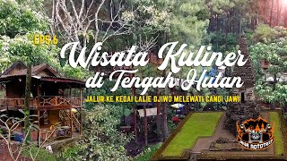 Kedai Lalie Djiwo Wisata Kuliner di Tengah Hutan || Java Mototrip