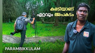 കരടിയാണ് സാറേ ഏറ്റവും അപകടം.!! | Bear Path Trekking Trail | Parambikkulam Tiger Reserve | 4K UHD