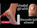 මීට කලින් කවුරුත් නොකියපු රහස් Tips සමග.. | Jawa Food Corner