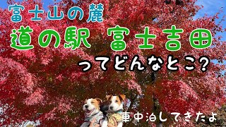 【山梨旅】道の駅富士吉田で車中泊