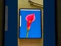Easy Procreate Tutorial #procreatetutorials #procreate