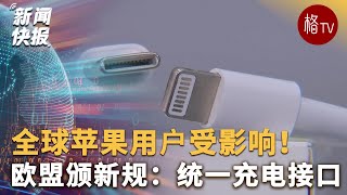 全球苹果用户受影响！欧盟颁新规：统一充电接口