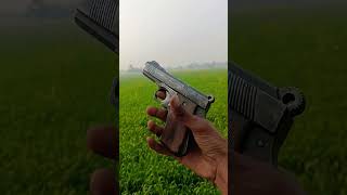 #30bor pistol/👑status//dadagiri/👑 status 🔰wanted//gangster firing🔰badmashi//status//King 💎of Ujjain