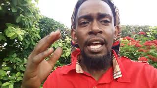 Unlock the Secret: How to Get Thick Dreadlocks Fast with the Rubber Band Method