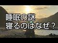 睡眠の謎 寝るのはなぜ？