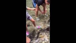 Giant Freshwater Eels in Larike Village, Ambon