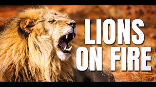 LIONS ON FIRE - Best Motivational Speeches - Dr. Billy Alsbrooks & Steve Harvey (Motivational Video)