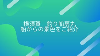 鴨居港までの短い船旅