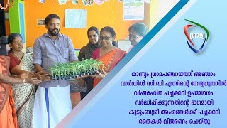 താന്ന്യം ഗ്രാമപഞ്ചായത്ത് അഞ്ചാം വാർഡിൽ കുടുംബശ്രീ അംഗങ്ങൾക്ക് പച്ചക്കറി തൈകൾവിതരണം ചെയ്തു