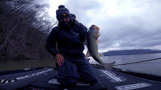 Bassman Spinnerbait Beat Down