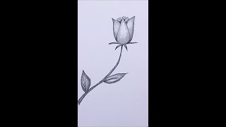 ROSE Drawing Easy | How to Draw a Rose step by step #shorts