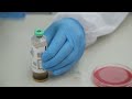 bact alert® bottle preparing a gram stain using the safety subculture unit 2 device