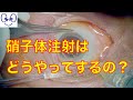 硝子体注射（抗VEGF抗体）の仕方　Intravitreal injection of anti-VEGF