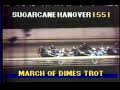 Sugarcane Hanover -- 1988 March of Dimes Trot