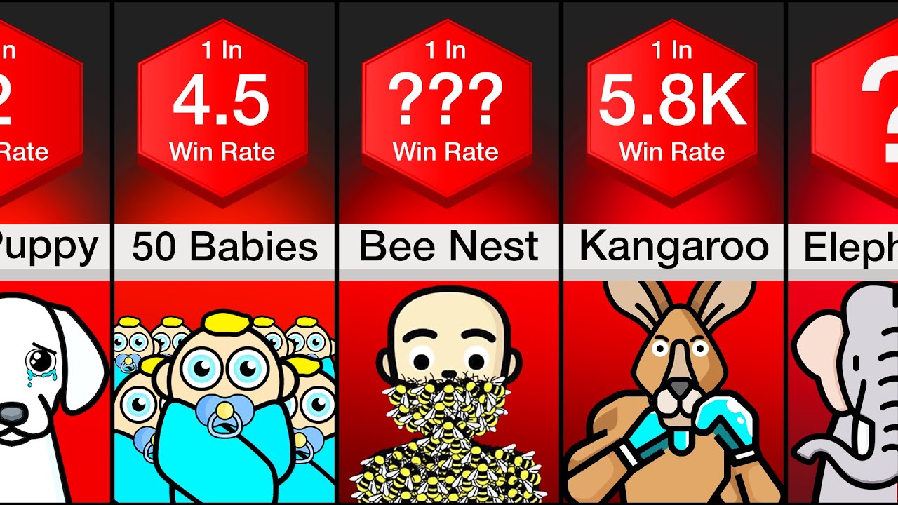 Comparison You Vs Youtube