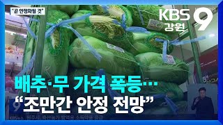 배추·무 가격 폭등…“조만간 안정 전망” / KBS  2022.10.10.