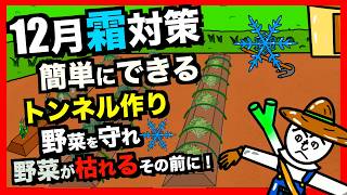 【野菜寒さ対策】実は簡単！トンネル栽培で野菜を霜から守る方法を紹介！さらに害虫対策にもなる！【アニメでわかる家庭菜園解説】