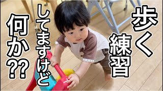 歩く練習してますけど何か⁇ 赤ちゃん 0歳9ヶ月 歩行器 Walking practice baby 9month 步行练习 걷는 연습 Gehübungen Práctica de caminar