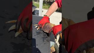 Easy quick technique for cleaning crab.