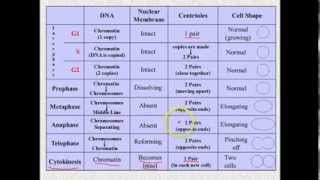 VodCast 202: Cell Cycle part 2 - M phase