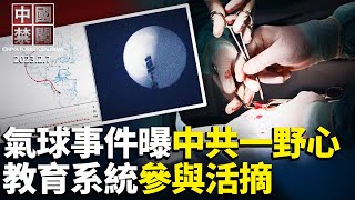 中共權力重新分配，6天50高官落馬；原大陸富商讀李大師文章: 找到回天之路；間諜氣球侵美，大陸民眾揭真相；教育系統參與活摘，學生成目標群體；1月統計，15法輪功學員被迫害致亡【 #中國禁聞 】