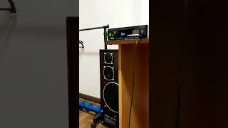 КОЛОНКА S90🔊 + АВТОМАГНИТОЛА Pioneer MVH-S110UBG)