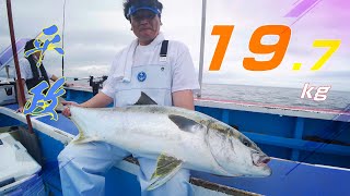 ヒラマサ　14キロ・19.7キロ