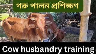 গরুর পালনের প্রশিক্ষণ | Cow husbandry training