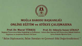 İklim Diplomasisi, İklim Davaları ve Çevresel Etki Değerlendirmesi