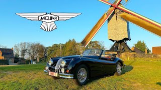 Jaguar’s Glory Days: Driving The XK140 DHC!! A Fully Restored Icon