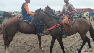 FEIRA DO CAVALO DE CAMPINA GRANDE PB 05/02/2025