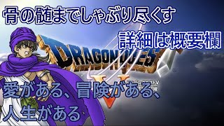 【DQ5・プレイ動画・やりこみ】#431　ドラゴンクエスト5　天空の花嫁　詳細は概要欄【PS】