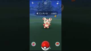 【ポケモンGO】パッチール ２連発！！＼(@@)／