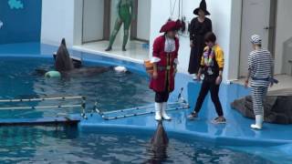 仙台うみの杜水族館 イルカ\u0026アシカショー ハロウィンバージョン