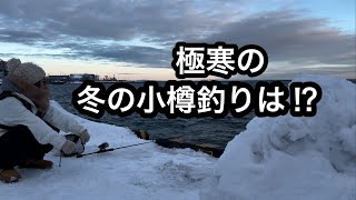 小樽に釣りに行ってみたら、どんな魚がいるかな⁉︎