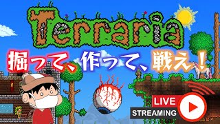 【Terraria】スケート靴が欲しいなぁ。【PC】