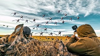 2 GUYS 11 BIRDS DOWN IN ONE FLOCK!