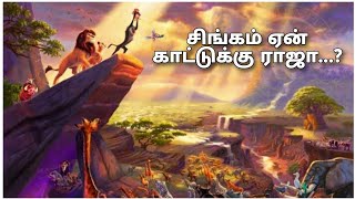 சிங்கம் ஏன் காட்டுக்கு ராஜா தெரியுமா ? | The Lion King story in tamil