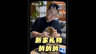 张小厚新家礼物拆拆拆 #张小厚 #秦昊