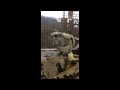 good morning russian flying squirrel エゾモモンガのあくび。