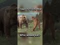 Mountain Lion (Cougar) vs Grizzly Bear | Who Would Win? #cougar #grizzly #fight