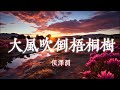 大風吹倒梧桐樹 - 侯澤潤『我們都嘗盡了生活的苦 我不甘耗盡半生沒有退路』【動態歌詞Lyrics】