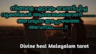 നിങ്ങളെ ഏറ്റവും വേദനിപ്പിച്ച വ്യക്തികൾ ആരൊക്കെയാണ്? 🌞✨ അവരുടെ ഇപ്പോഴത്തെ അവസ്ഥ 🌞✨❤️Divineheal  tarot