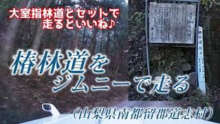 ジムニーで[山梨]道志村の椿林道を走る -椿沢沿いを走るピストン林道！-