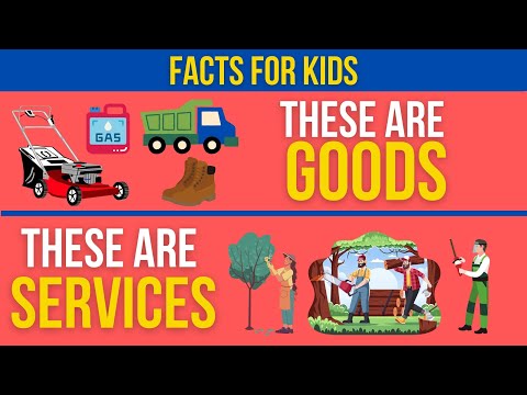 What are the activities related to the distribution of goods and services called?