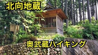 スカリ山〜物見山〜日和田山  2015.06.11②